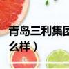 青岛三利集团股份有限公司（青岛三利集团怎么样）