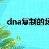 dna复制的场所有哪些（dna复制的场所）