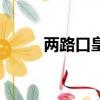 两路口皇冠大扶梯简介（两路口）