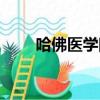 哈佛医学院什么水平（哈佛医学院）