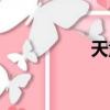 天童凯大包（天童凯）