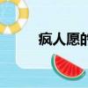 疯人愿的歌词（魏晨疯人愿歌词）