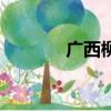 广西柳城县地图（广西柳城）