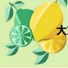 大东海酒店（大东海）
