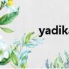 yadikar中文意思（yadikar）