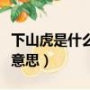 下山虎是什么意思比喻什么人（下山虎是什么意思）