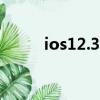 ios12.3.5越狱（ios12 3 1越狱）