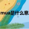 mua是什么意思啊英语（mua是什么意思啊）