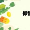 仰智慧的老板（仰智慧）
