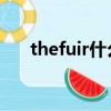 thefuir什么意思（the fuir什么意思）