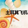 土耳其飞机事故（土耳其客机滑出跑道）