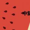中复手机店（中复手机）