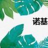 诺基亚N76（诺基亚n74）