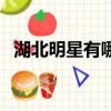 湖北明星有哪些艺人（湖北明星有哪些人）