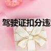 驾驶证扣分违章查询（驾驶证扣分罚款查询）