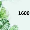 1600日元五算（1600日元）