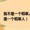 我不是一个稻草人我拥有自己的灵魂是哪部的电视剧（我不是一个稻草人）