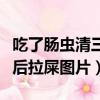 吃了肠虫清三天后肛门口还有虫（吃了肠虫清后拉屎图片）