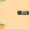 横山桥镇党委书记（横山桥）