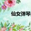 仙女弹琴的奇石的样子（仙女弹琴）