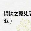 钢铁之翼艾尼维亚值多少钱（钢铁之翼艾尼维亚）