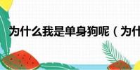 为什么我是单身狗呢(为什么我是单身狗)