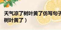 天气凉了树叶黄了仿写句子一年级(天气凉了树叶黄了)