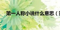 第一人称小说什么意思(第一人称小说)