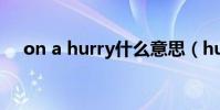 on a hurry什么意思(hurry什么意思)