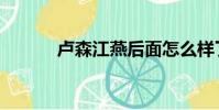 卢森江燕后面怎么样了(卢森)