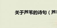 关于芦苇的诗句(芦苇的诗句)