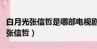 白月光张信哲是哪部电视剧的主题曲(白月光张信哲)