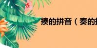 揍的拼音(奏的拼音)