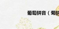 葡萄拼音(菊拼音)