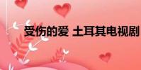 受伤的爱 土耳其电视剧(受伤的爱)