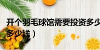 开个羽毛球馆需要投资多少钱(羽毛球馆投资多少钱)