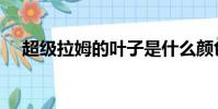 超级拉姆的叶子是什么颜色(超级拉姆)