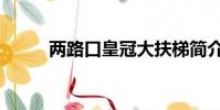 两路口皇冠大扶梯简介(两路口)