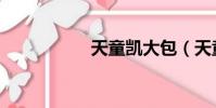 天童凯大包(天童凯)