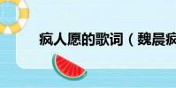 疯人愿的歌词(魏晨疯人愿歌词)
