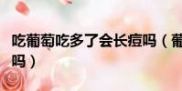 吃葡萄吃多了会长痘吗(葡萄吃多了会长痘痘吗)