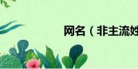 网名(非主流姓名)