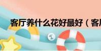 客厅养什么花好最好(客厅养什么花好)