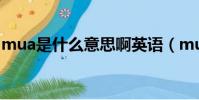 mua是什么意思啊英语(mua是什么意思啊)