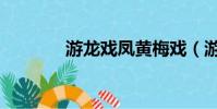 游龙戏凤黄梅戏(游龙戏风)