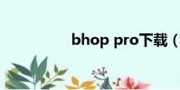 bhop pro下载(bho)