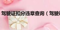 驾驶证扣分违章查询(驾驶证扣分罚款查询)