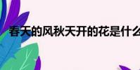 春天的风秋天开的花是什么歌(春天的风)