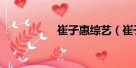 崔子惠综艺(崔子惠)