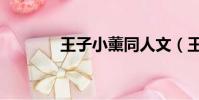 王子小薰同人文(王子小薰)